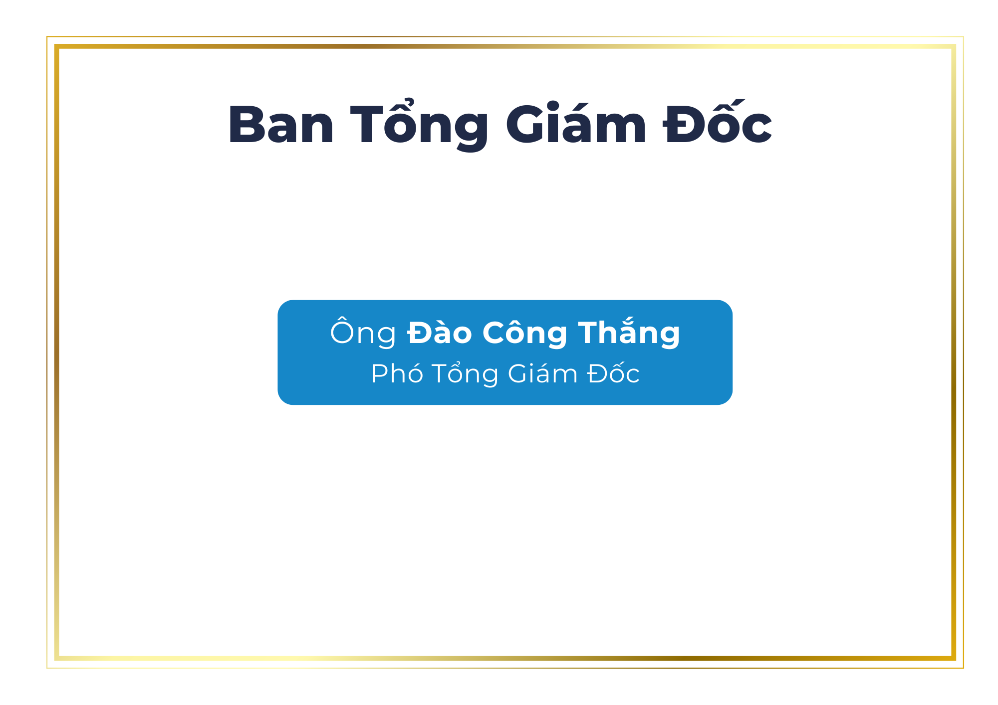 Ban Tổng Giám Đốc