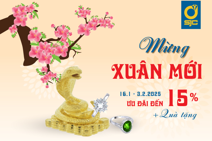 ƯU ĐÃI MỪNG XUÂN MỚI - XUÂN ẤT TỴ 2025